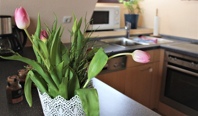 Ferienwohnung in Kellenhusen - Haus Hegen - Whg D - K&uuml;chenbereich