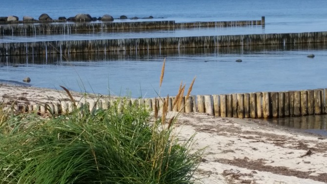 Ferienwohnung in Hohwacht - Primavera - Bild 7