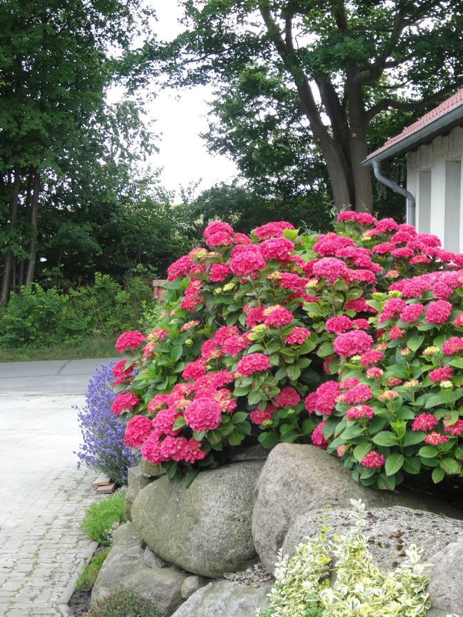 Ferienwohnung in K&auml;gsdorf - Hoogendoorn - Bild 14