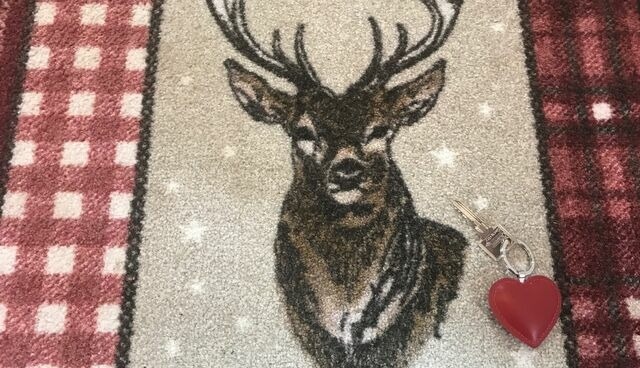 Ferienwohnung in Fehmarn OT Burg -  - Bild 15