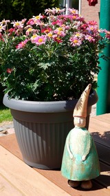 Ferienwohnung in Fehmarn OT Burg -  - Bild 19