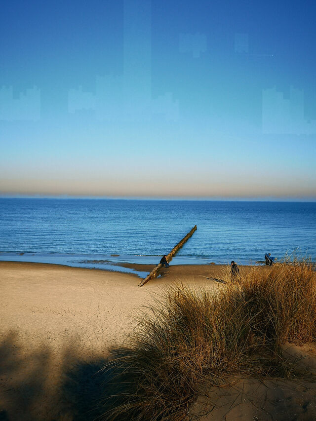 Ferienwohnung in Ostseeheilbad Zingst - Strandperle 11, PP au&szlig;en - Bild 13