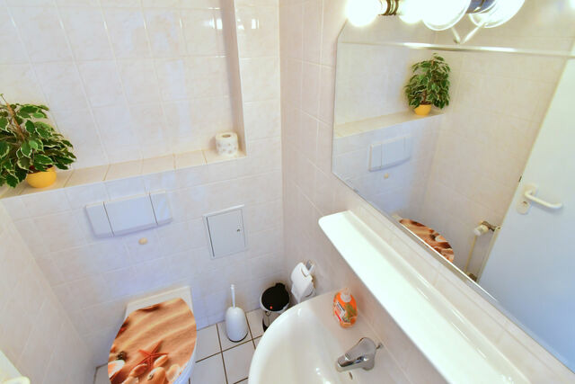 Ferienwohnung in Ostseeheilbad Zingst - Strandperle 11, PP au&szlig;en - Bild 22