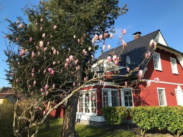 Ferienhaus in Zingst - Dat Ferienhus Sophia - Bild 2