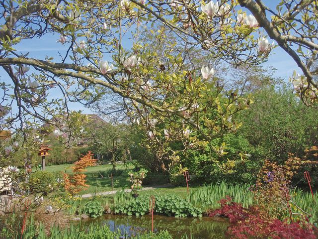 Ferienwohnung in Ulsnis - Fewo Gl&uuml;cksburg - Bild 8