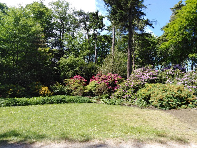 Ferienwohnung in Graal-M&uuml;ritz - Ferienwohnung Willi-Marie - Bild 8