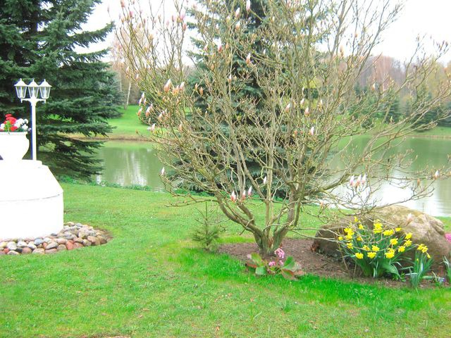 Ferienwohnung in Cismar - Haus am Kojenteich - Klosterdorf Cismar -"Teichwohnung" f&uuml;r Zwei auf idyllischem Seegrundst&uuml;ck - Bild 3