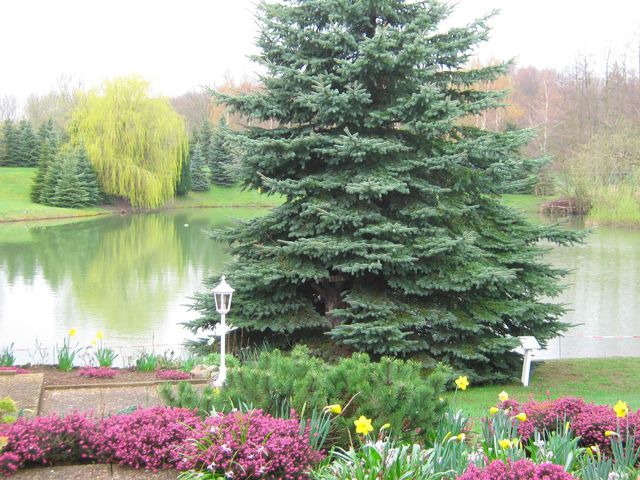 Ferienwohnung in Cismar - Haus am Kojenteich - Klosterdorf Cismar -"Teichwohnung" f&uuml;r Zwei auf idyllischem Seegrundst&uuml;ck - Bild 6