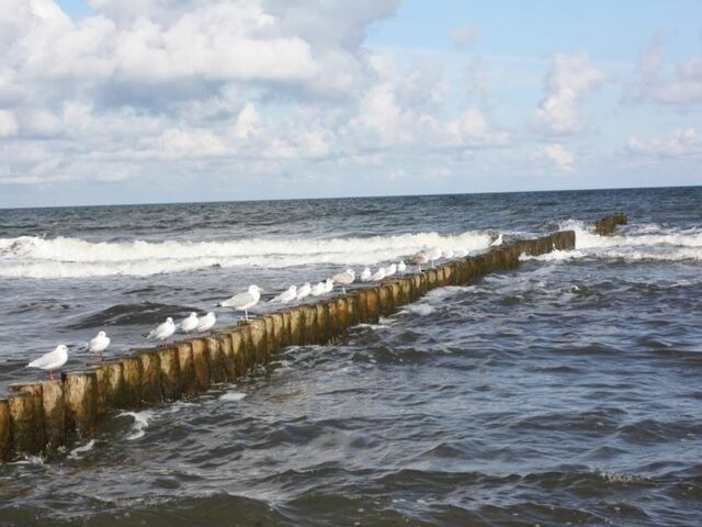 Ferienwohnung in Ostseeheilbad Zingst - Schifferhaus "Kapit&auml;nskabine" FW 5 - Bild 15