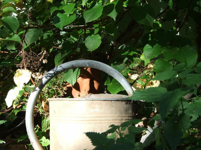 Ferienhaus in Carinerland - Scheune Landliebe in Holz und Lehm - Bild 18