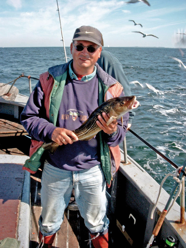 Ferienwohnung in Fehmarn OT Klausdorf - Bl&uuml;tenpracht - Bild 10