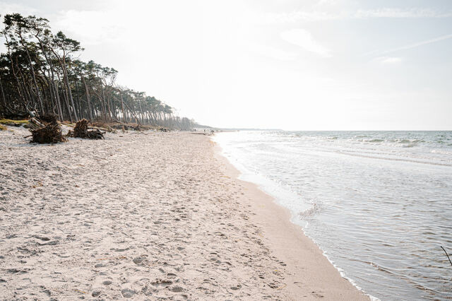 Ferienwohnung in Ahrenshoop - Strandd&uuml;ne 1 - Bild 10