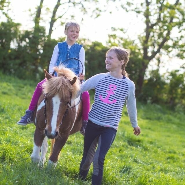 Ferienwohnung in Fehmarn - Ferienhof Marquardt Bungalow 5 - Bild 4