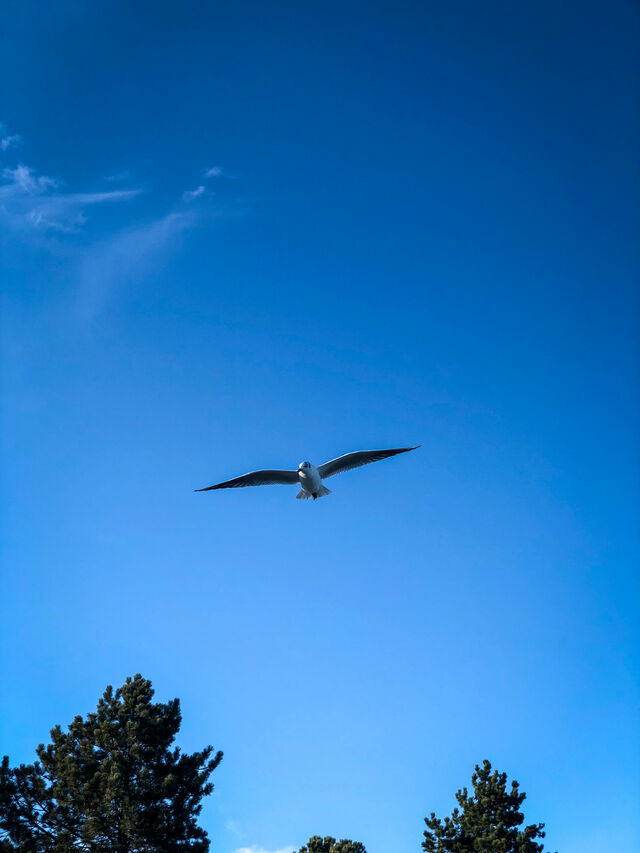 Ferienwohnung in Gl&uuml;cksburg - Ferienwohnung Noorblick - Bild 24