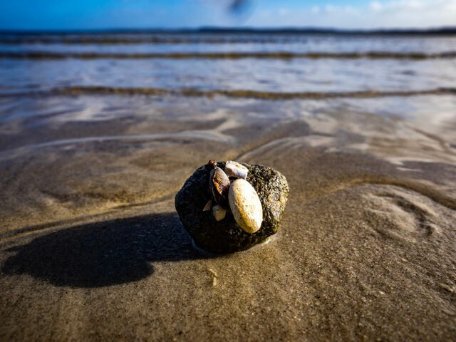Ferienhaus in Gl&uuml;cksburg - Ostseehimmel - Bild 23