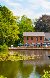Ferienwohnung in P&ouml;nitz am See - Landhaus am See - mit Strandkorb an der Ostsee - Bild 24