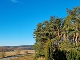 Ferienwohnung in Lütow - Ferienhaus Köhler Am Walde , Urlaub mit Hund - Bild 12
