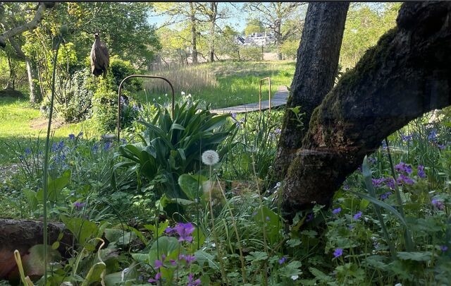 Ferienwohnung in Gl&uuml;cksburg - Ferienwohnung Erlkron - Bild 14
