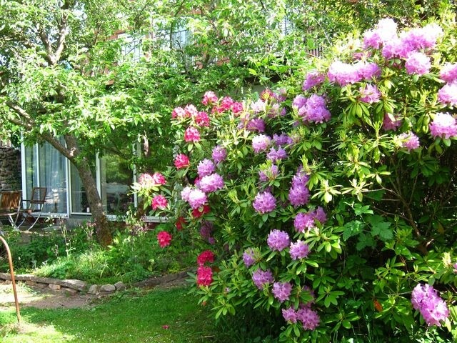 Ferienwohnung in Gl&uuml;cksburg - Ferienwohnung Erlkron - Bild 13