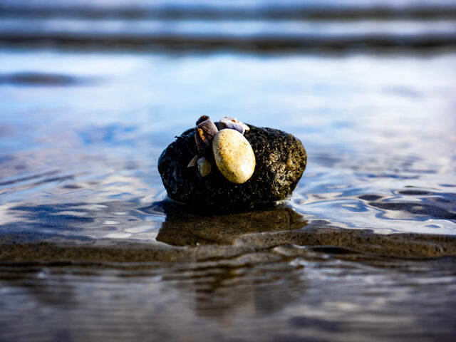 Ferienwohnung in Gl&uuml;cksburg - Ferienwohnung Nolte - Bild 14