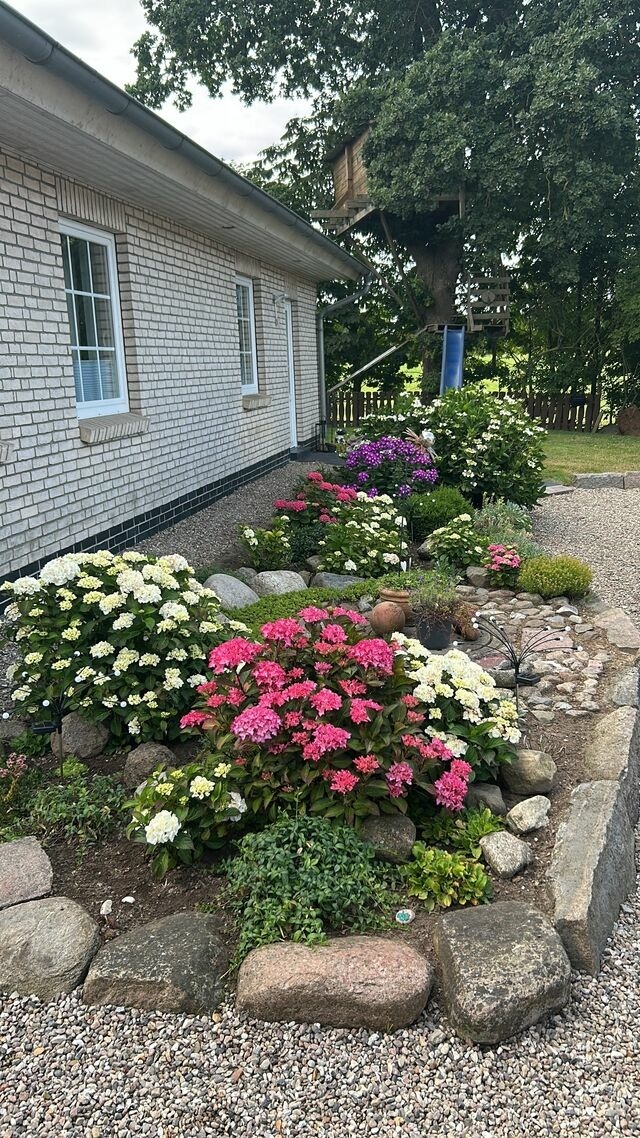Ferienhaus in Rabenkirchen-Faul&uuml;ck - Ferienhaus Spatz - Bild 19