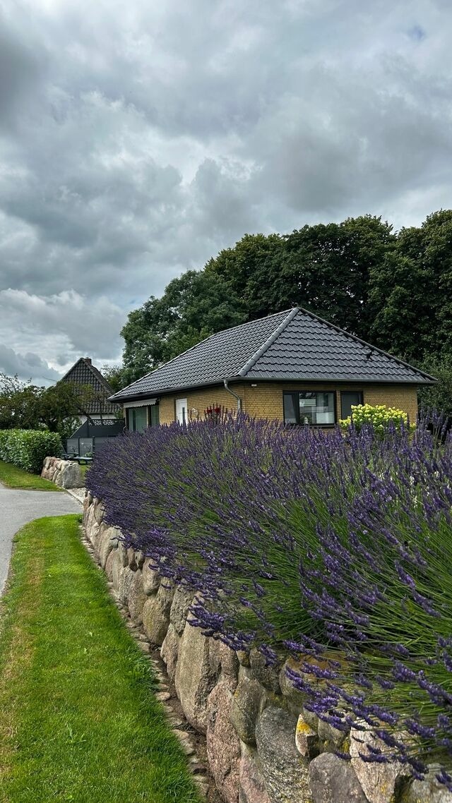Ferienhaus in Rabenkirchen-Faul&uuml;ck - Ferienhaus Spatz - Bild 20