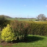 Ferienhaus in Hasselberg - Ferienhaus Knorrl&uuml;ck - Bild 17