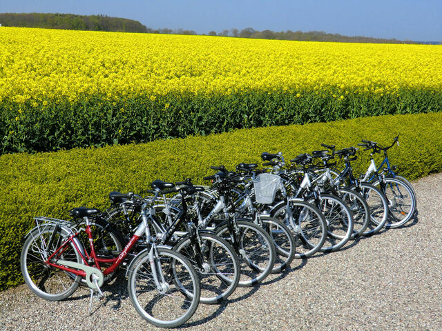 Ferienwohnung in S&uuml;ssau - "Neubau-DHH" - Bild 13