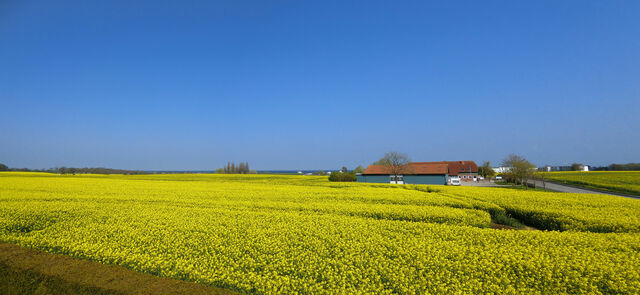 Ferienwohnung in S&uuml;ssau - "Neubau-DHH" - Bild 20