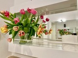 Ferienwohnung in Zingst - Magister Wigbold 3.1 - Bild 9