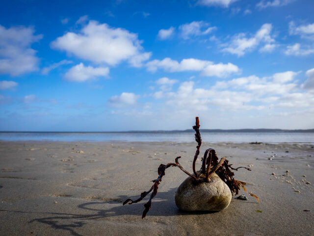 Ferienhaus in Gl&uuml;cksburg - Ferienhaus Ostseek&uuml;ste 16 - Bild 21