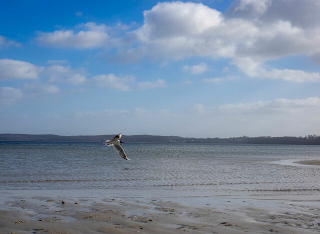 Ferienwohnung in Gl&uuml;cksburg - Ferienwohnung Sailing - Bild 17