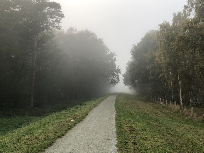 Ferienhaus in Fehmarn OT Gammendorf - Feriendomizil SeeSand 2 - ruhige Herbstatmosph&auml;re