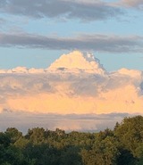 Ferienwohnung in Ascheffel - Wilsterberg FeWo "die Gro&szlig;e" - Bild 5