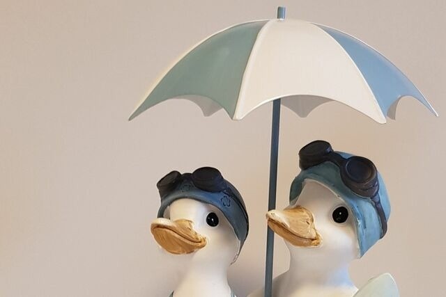 Ferienwohnung in Boltenhagen - Haus Poseidon Wohnung 20 - Bild 15